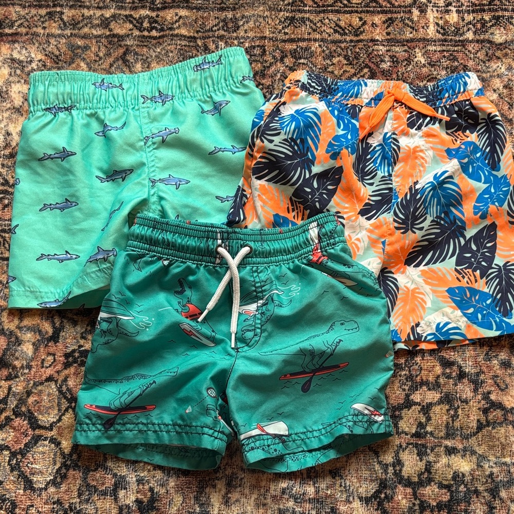 Set of 2T Swim Shorts - Hurley, Carter’s, and Jumping Beans
